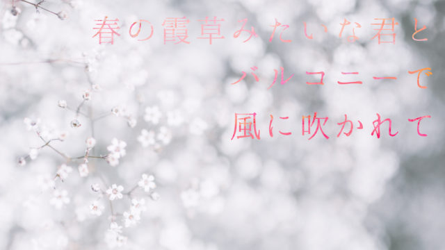 ふむとねこ